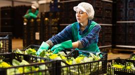 Solutions de marquage permanent avec code-barres et RFID