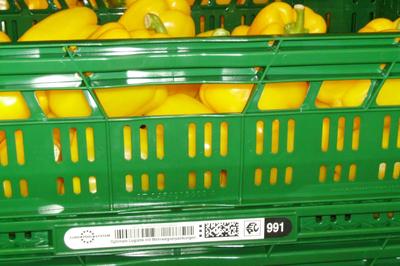 inotec Barcode Inmould Obstbehälter Lebensmittel Paprika inotec Barcode Inmould Obstbehälter Lebensmittel Paprika