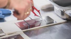 Développement d’étiquettes excellent dans notre laboratoire interne